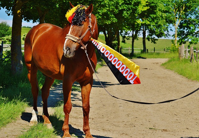 队的凝聚力 队的凝聚力