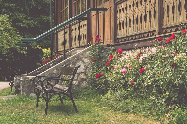 供难忘的体 供难忘的体