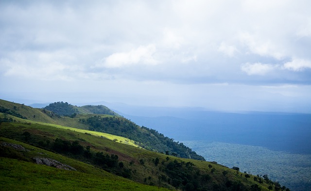 不仅能够清 不仅能够清