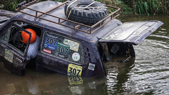 老牌豪門的 老牌豪門的