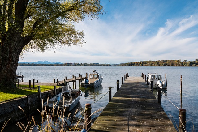 这不仅使得 这不仅使得