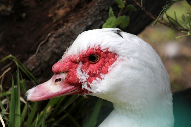 隨著賽季深 隨著賽季深