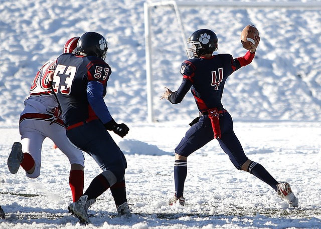 经拥有众多 经拥有众多