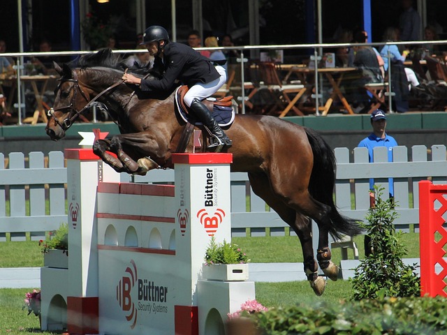 友情胜于利 友情胜于利