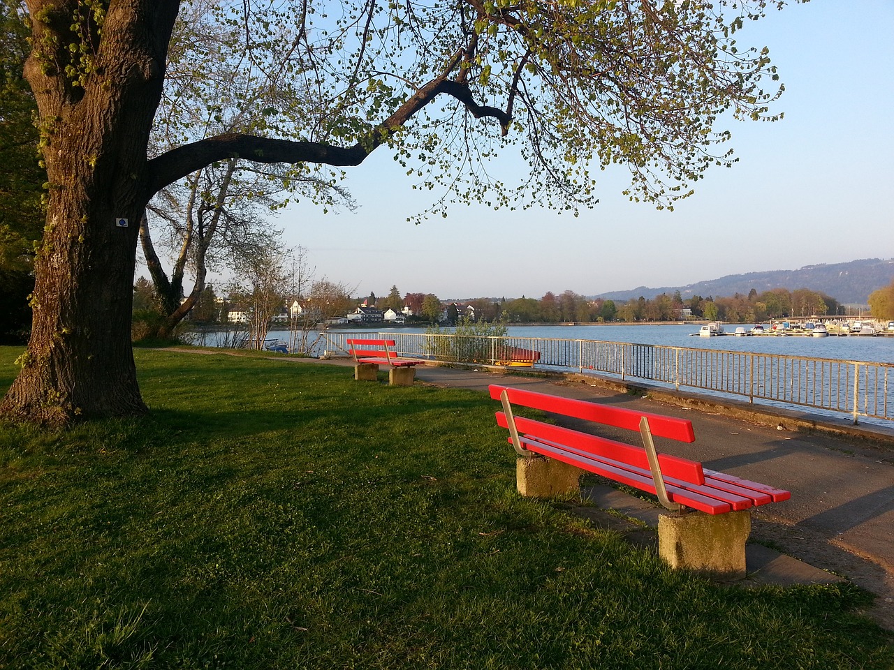 字母哥所謂 字母哥所謂