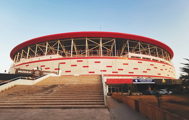 展现了不俗 展现了不俗